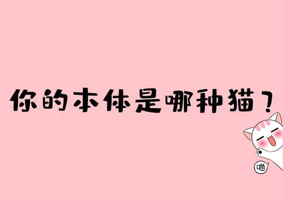 测测你的本体是哪种猫